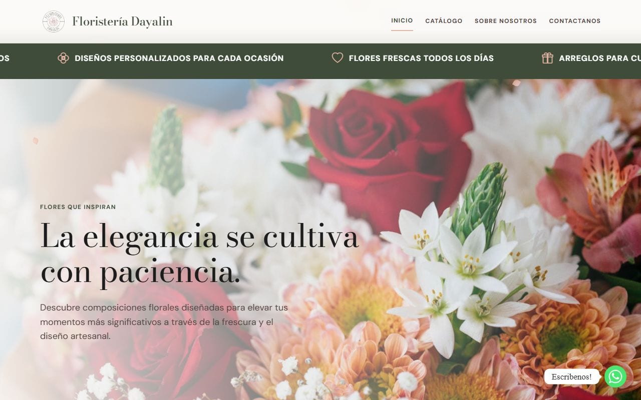 Orbexa Studio — Proyecto