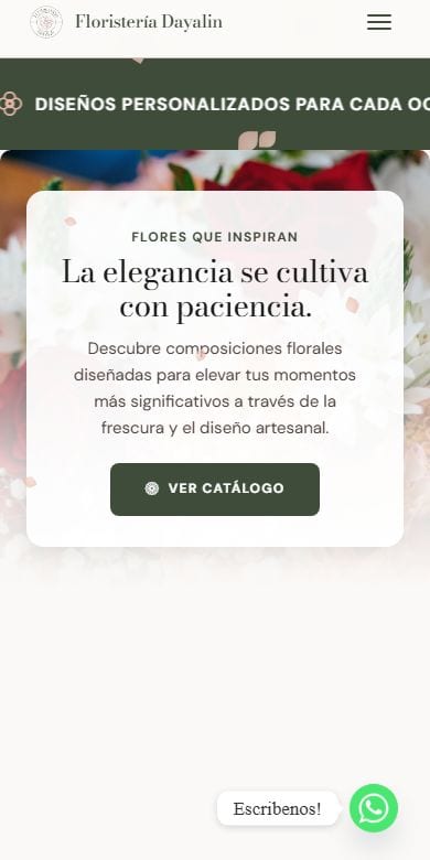 Orbexa Studio — Proyecto vista móvil